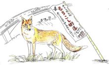 もろこし街道のキツネ